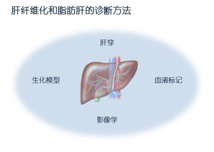 QQ截圖20211015110152.png